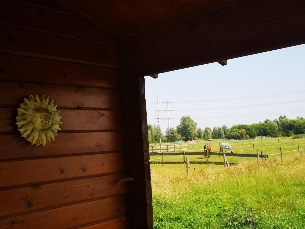Romantische Blokhutten Zwaanshoek Exterior foto