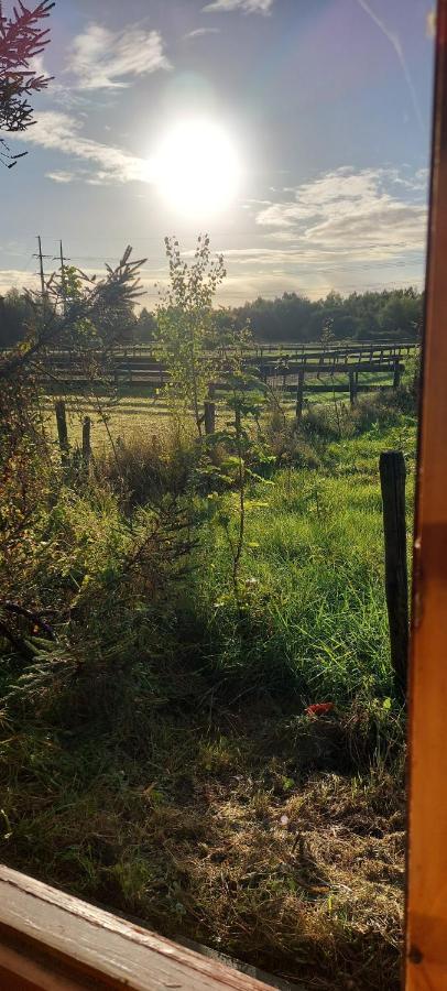 Romantische Blokhutten Zwaanshoek Exterior foto